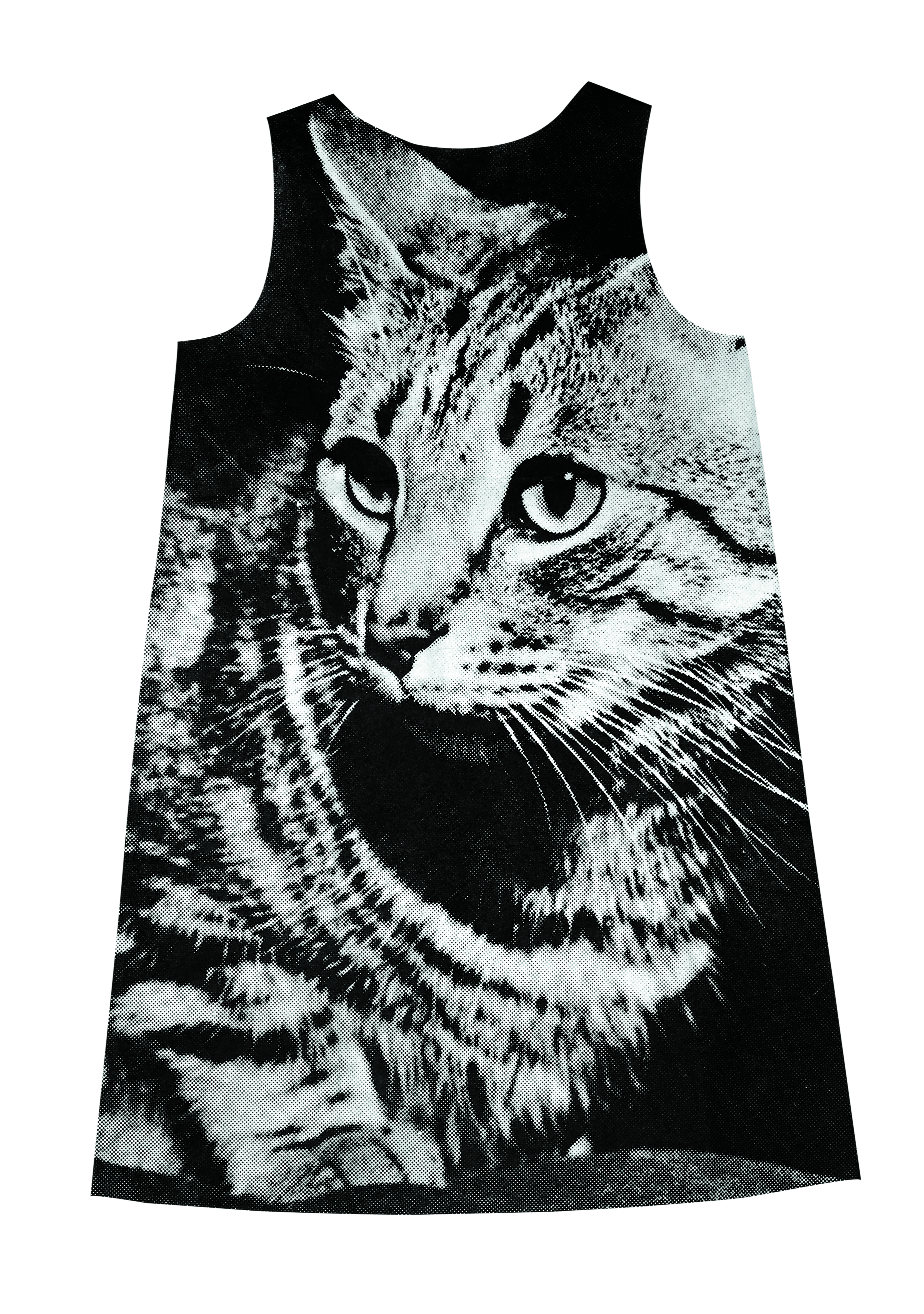 005 CAT