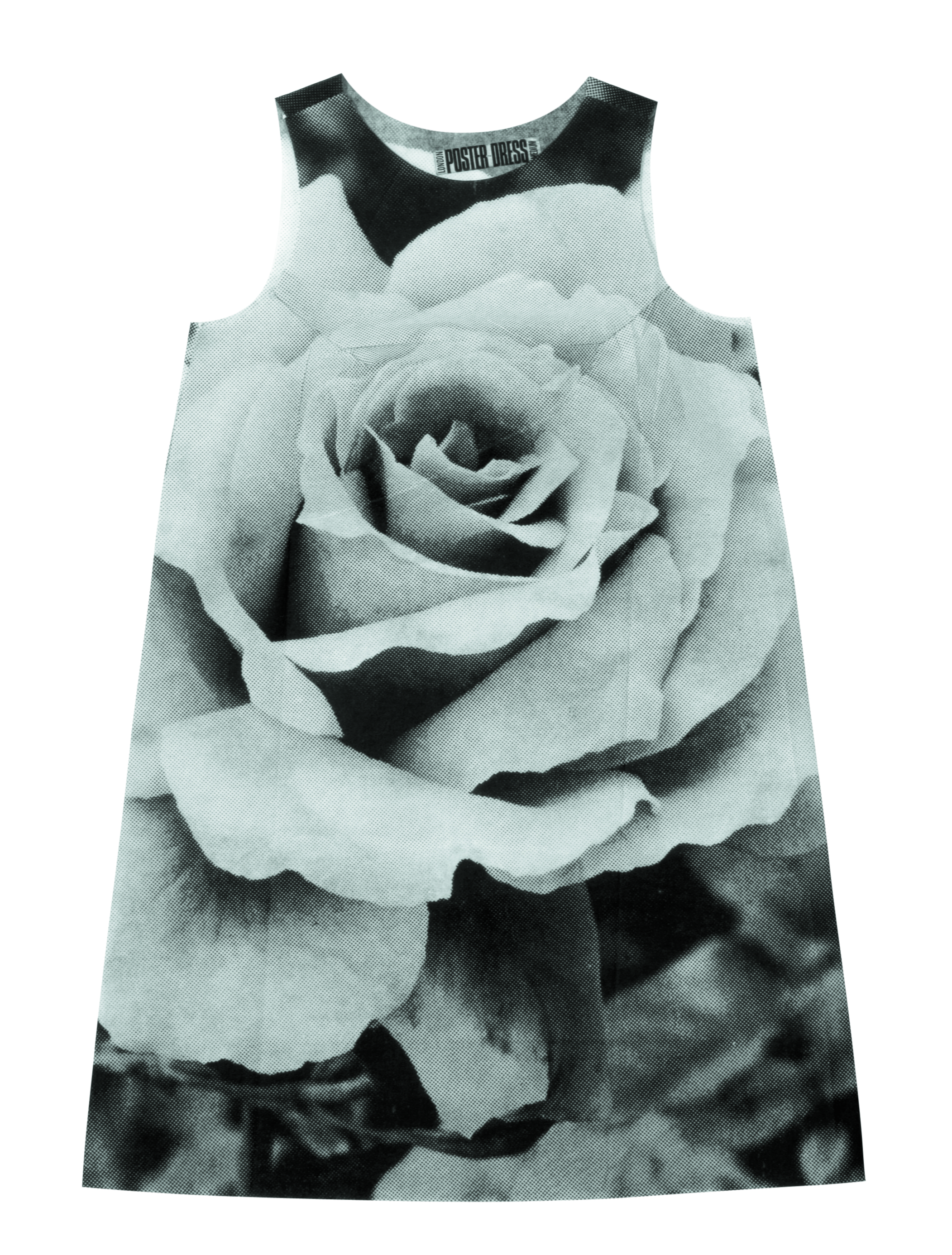 ROSE_POSTER DRESS